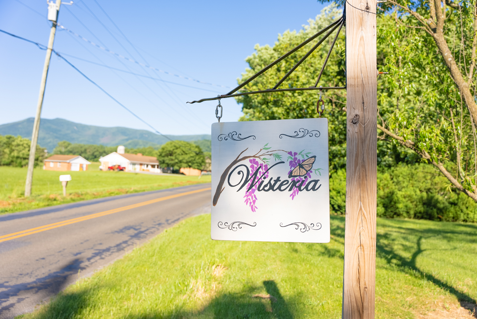 Shop Wisteria Farm & Vineyard