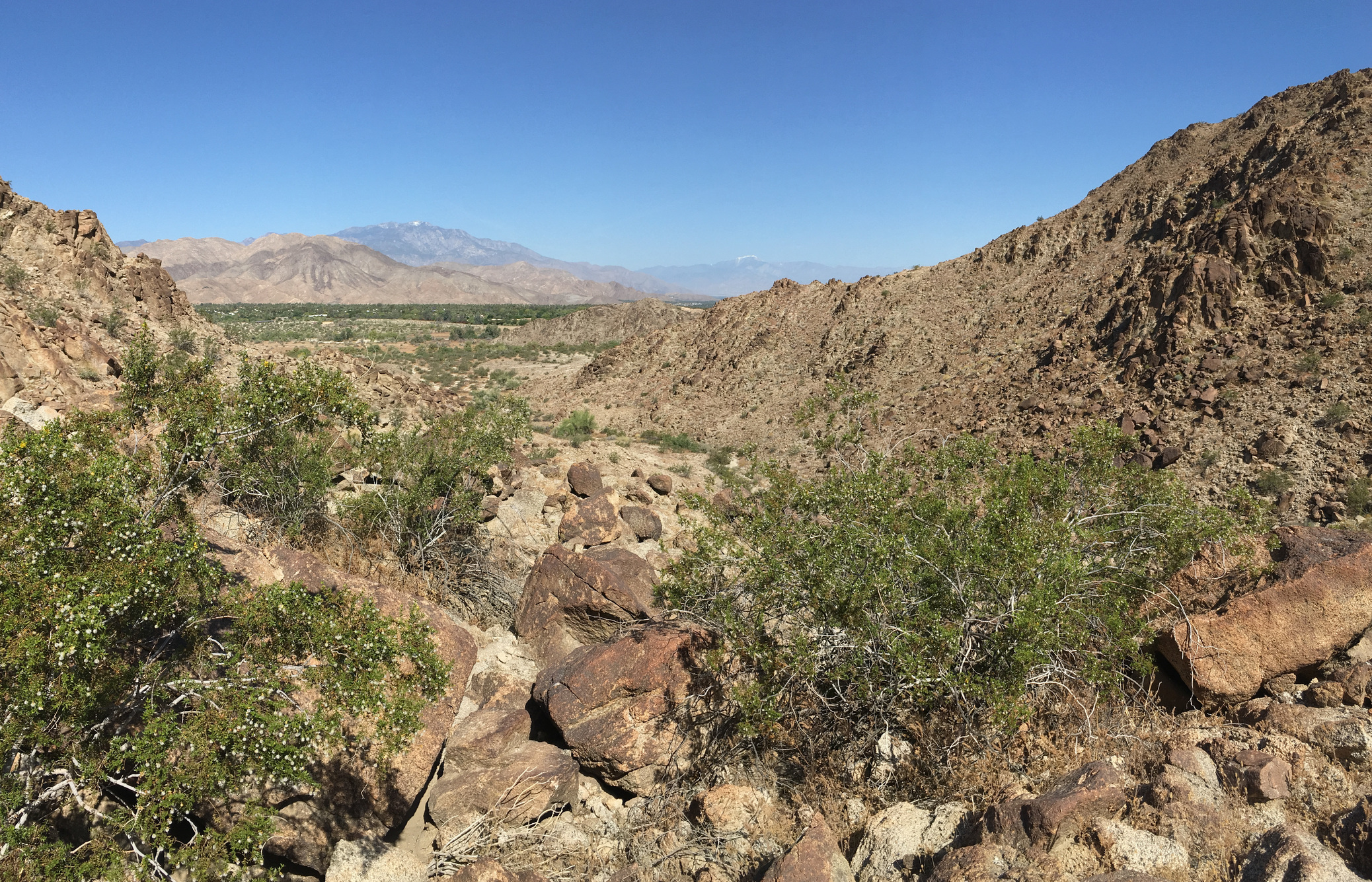 The Living Desert Wilderness Loop