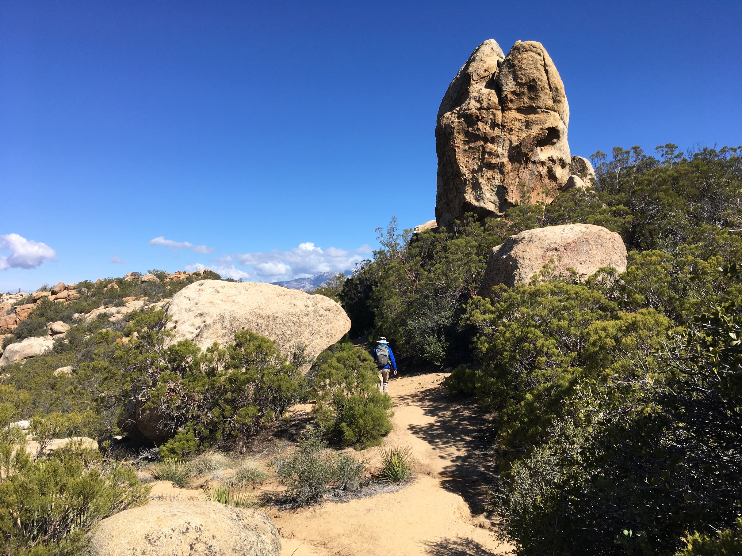 are dogs allowed on the pacific crest trail