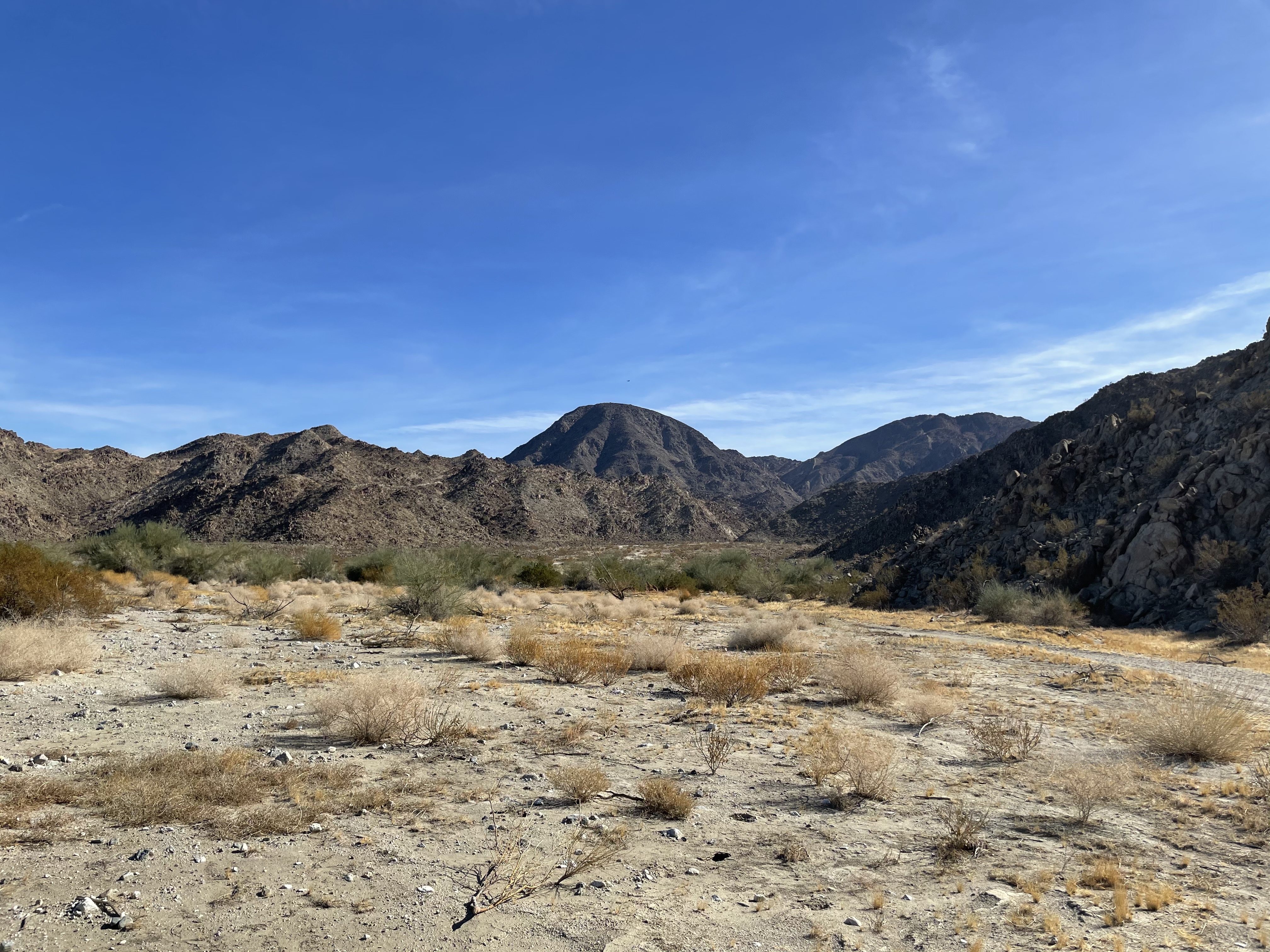 Living desert outlet hike