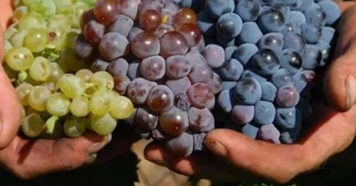 Recess on Main - Better Together: White, Pink and Red Wine Blends