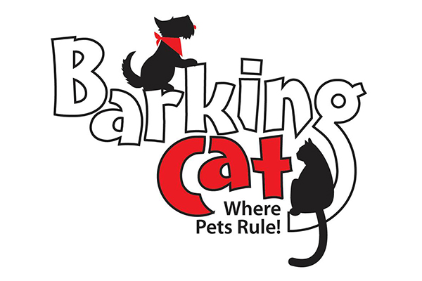 The Barking Cat in Park City