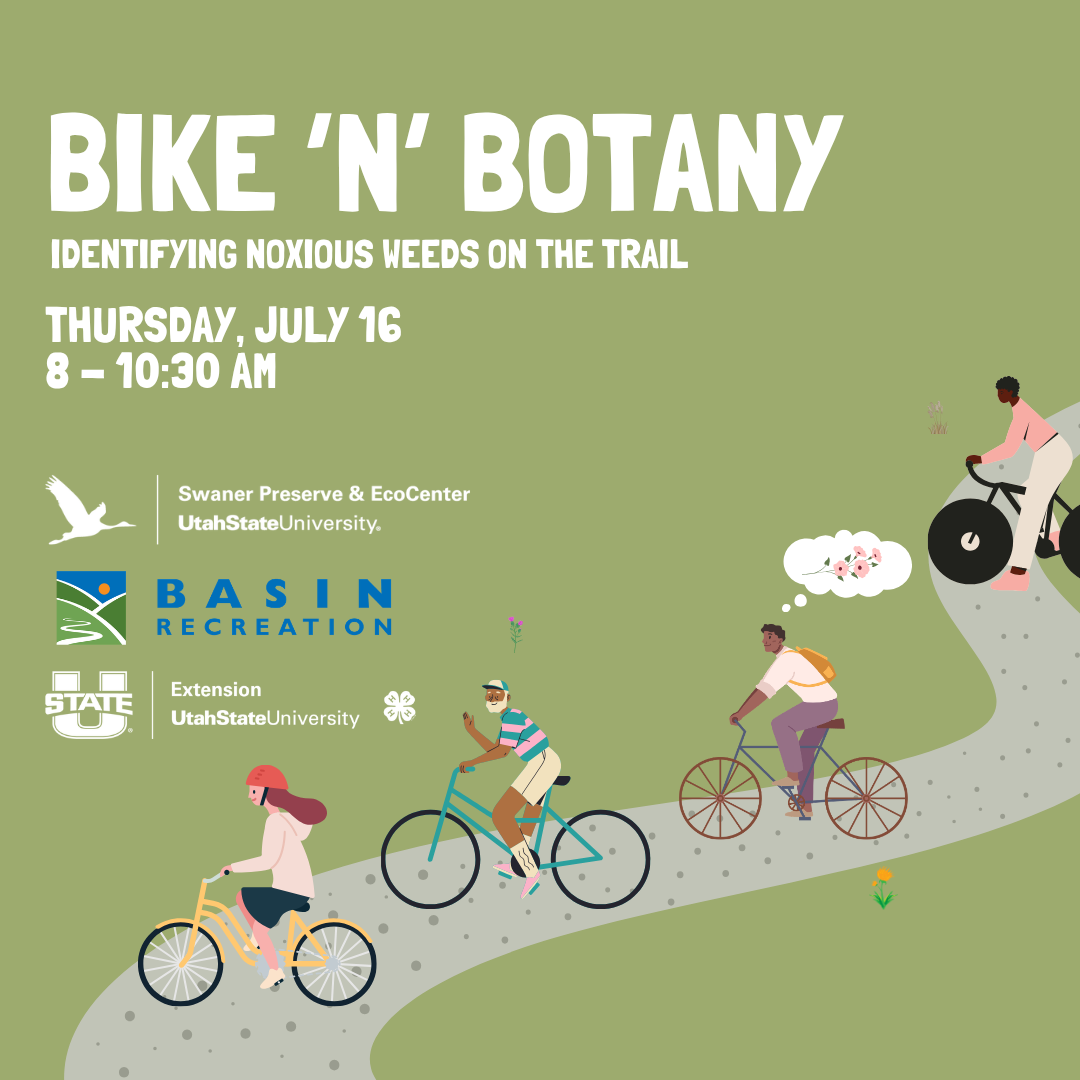 Bike 'n' Botany