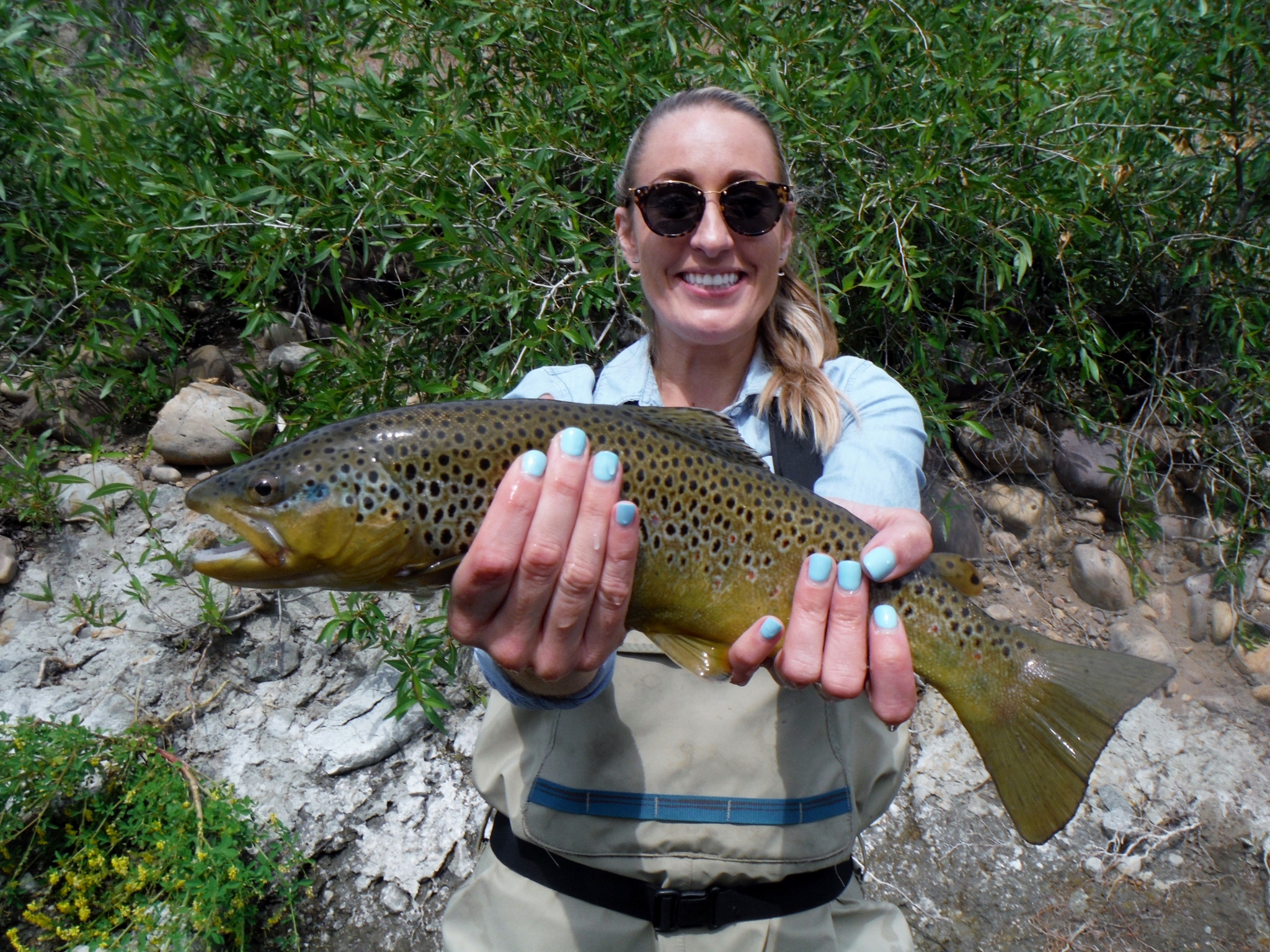Park City On The Fly in Park City