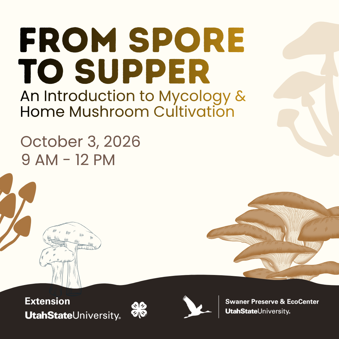 From Spore to Supper