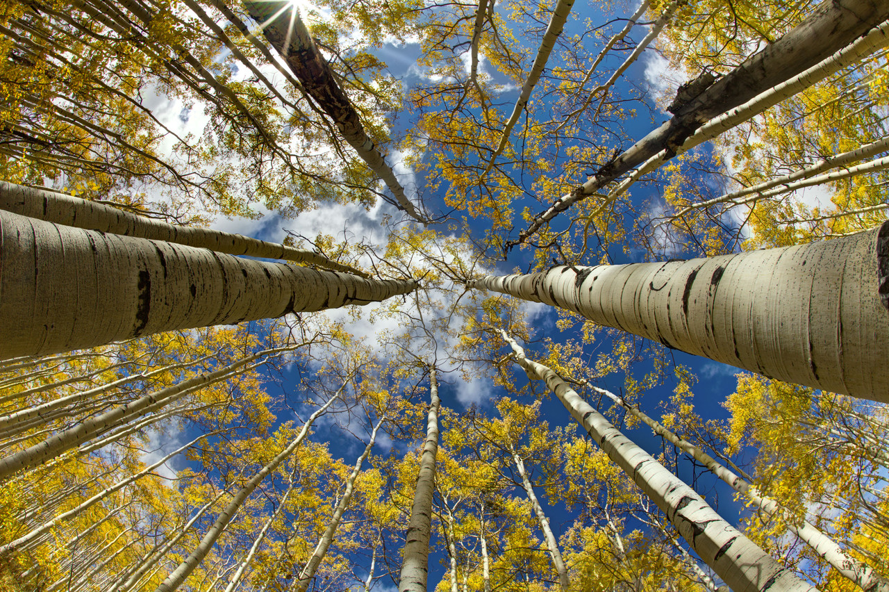 Bret Webster Images in Park City
