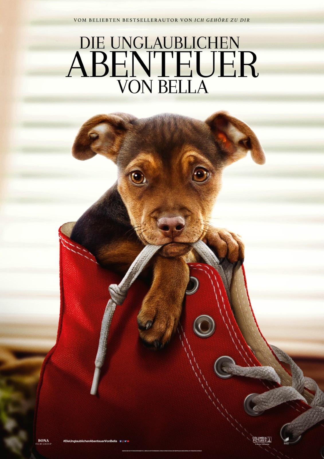 Park City Film Presents: A Dog’s Way Home (Kamas)