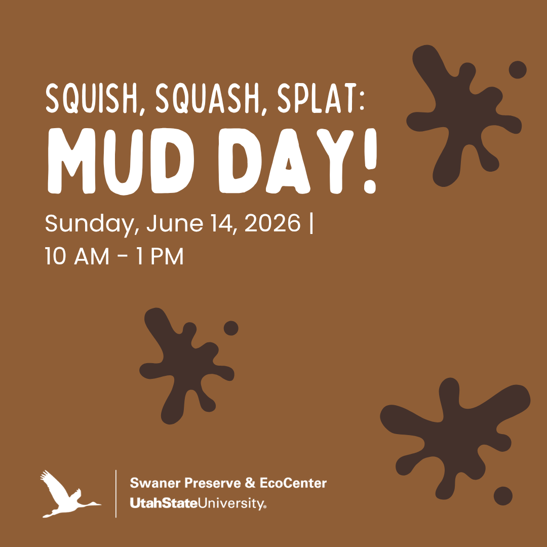 Squish, Squash, Splat: Mud Day!