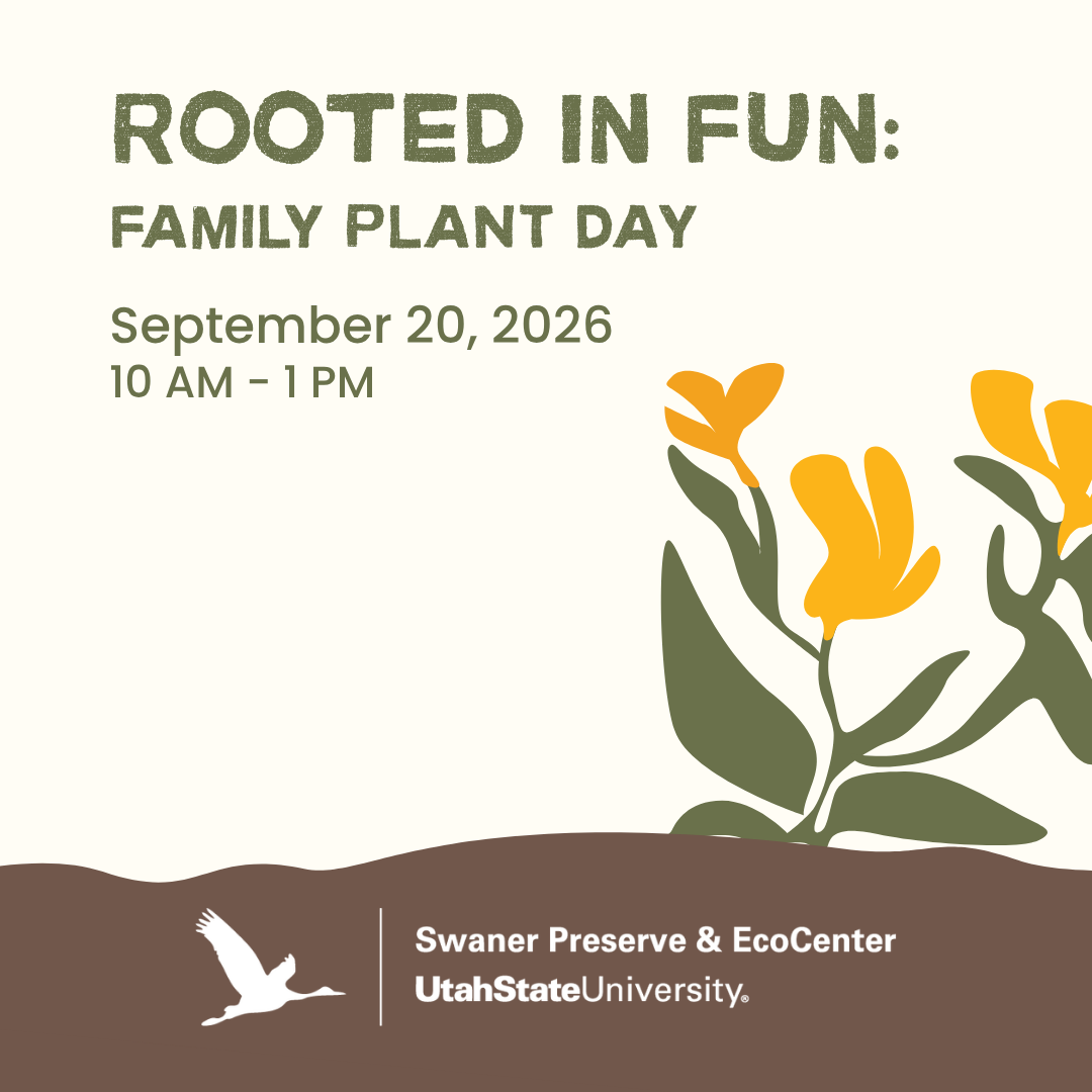 Rooted in Fun: Family Plant Day