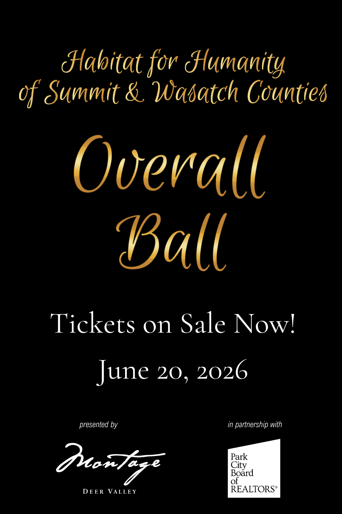 Habitat for Humanity's Overall Ball!