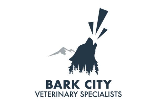 Bark City in Park City