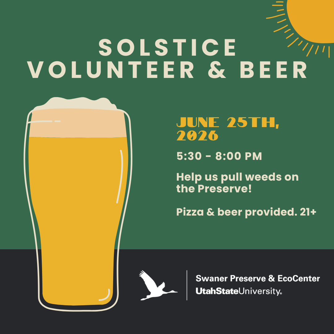 Solstice Volunteer + Beer (21+)
