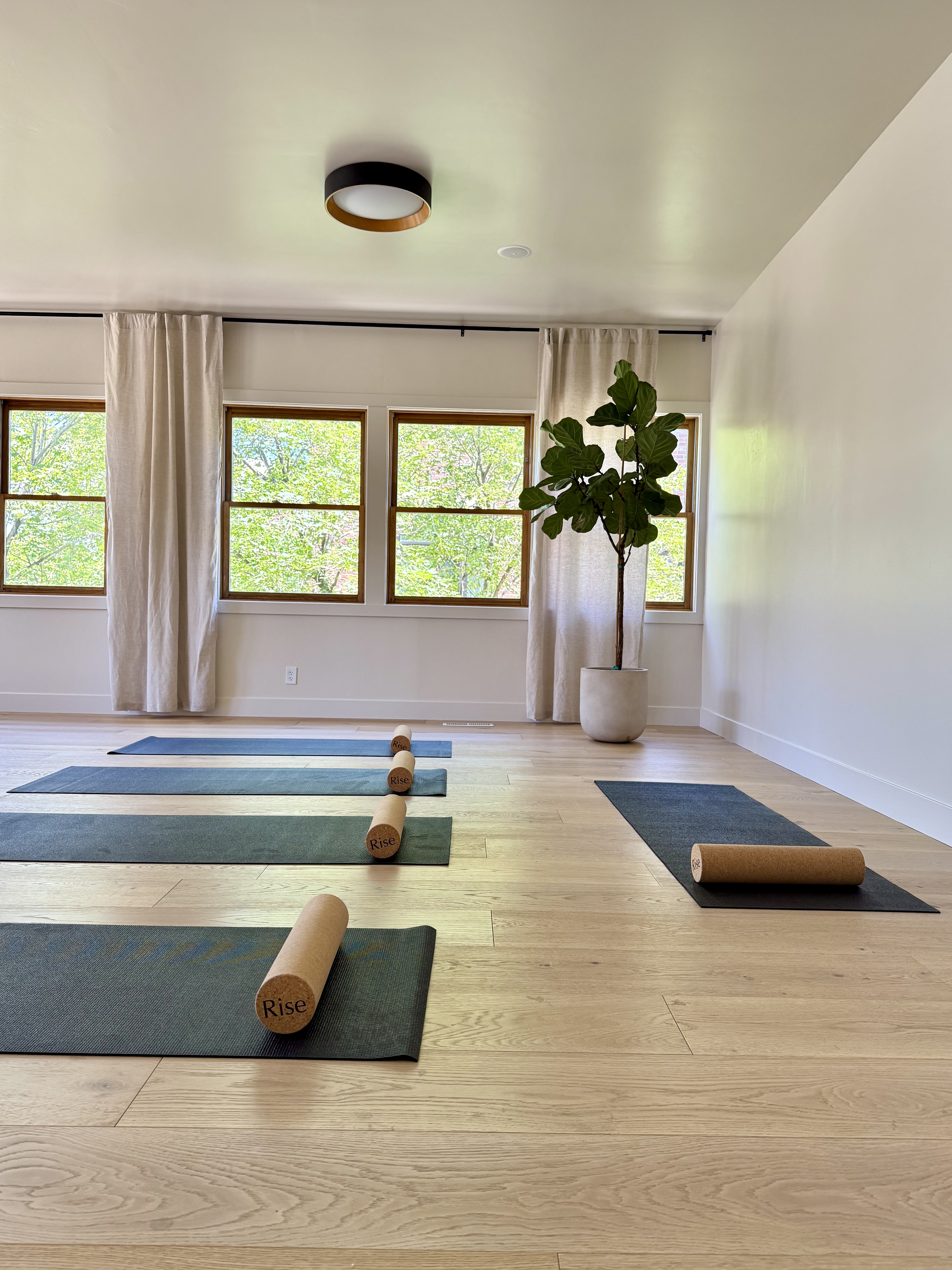 Fascia Rolling Class