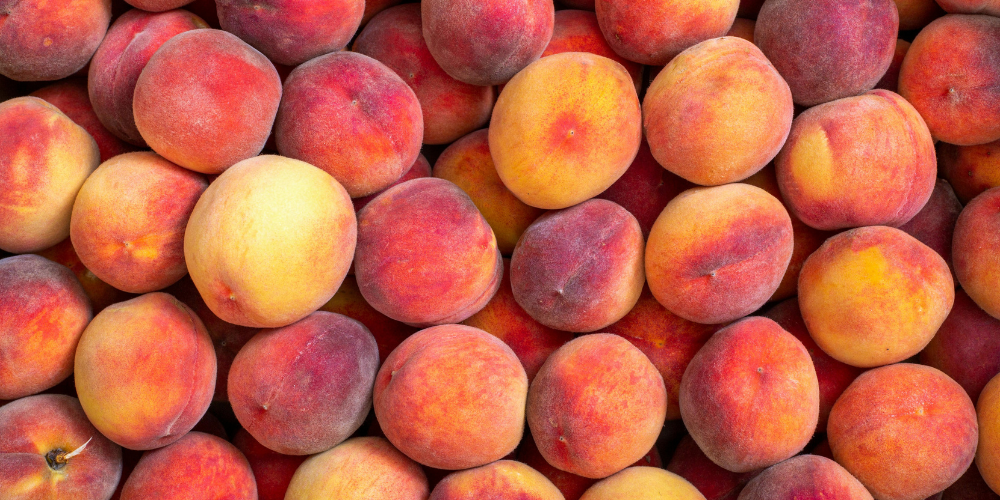 One Book One Community: Book Discussion & Tasting with Tagge’s Famous Fruits