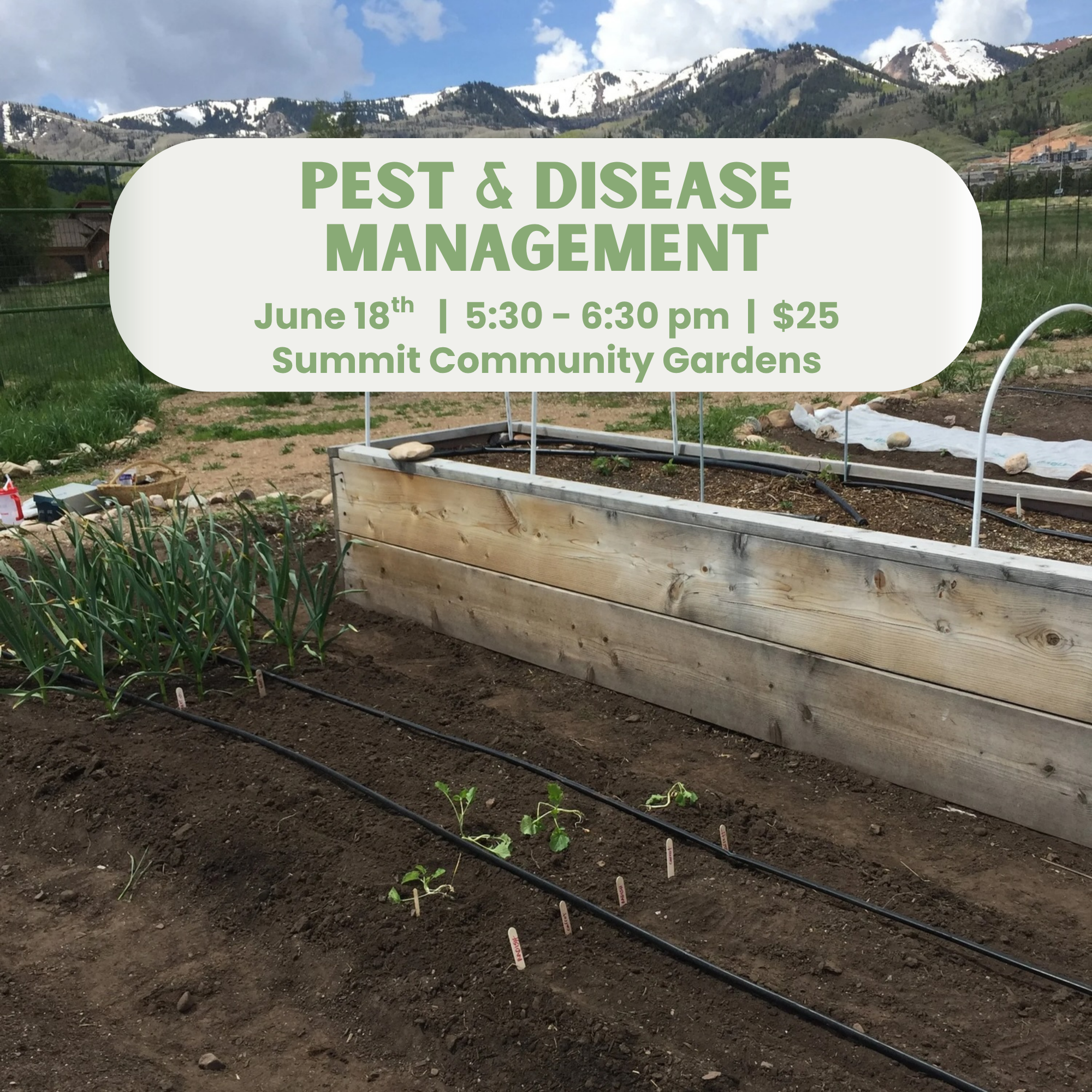 Pest and Disease Management