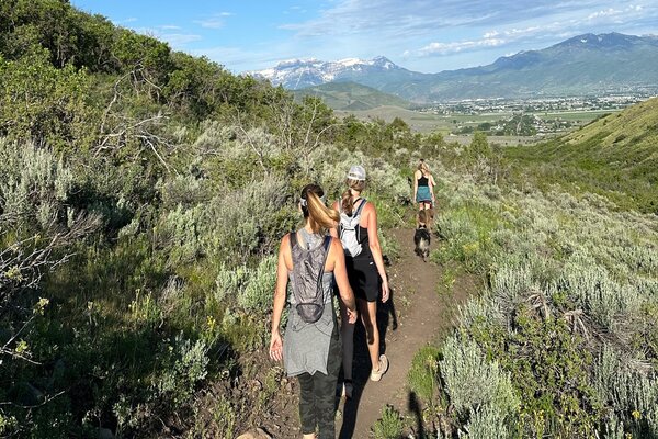 Guided Evening Hike with Wasatch Trails Foundation