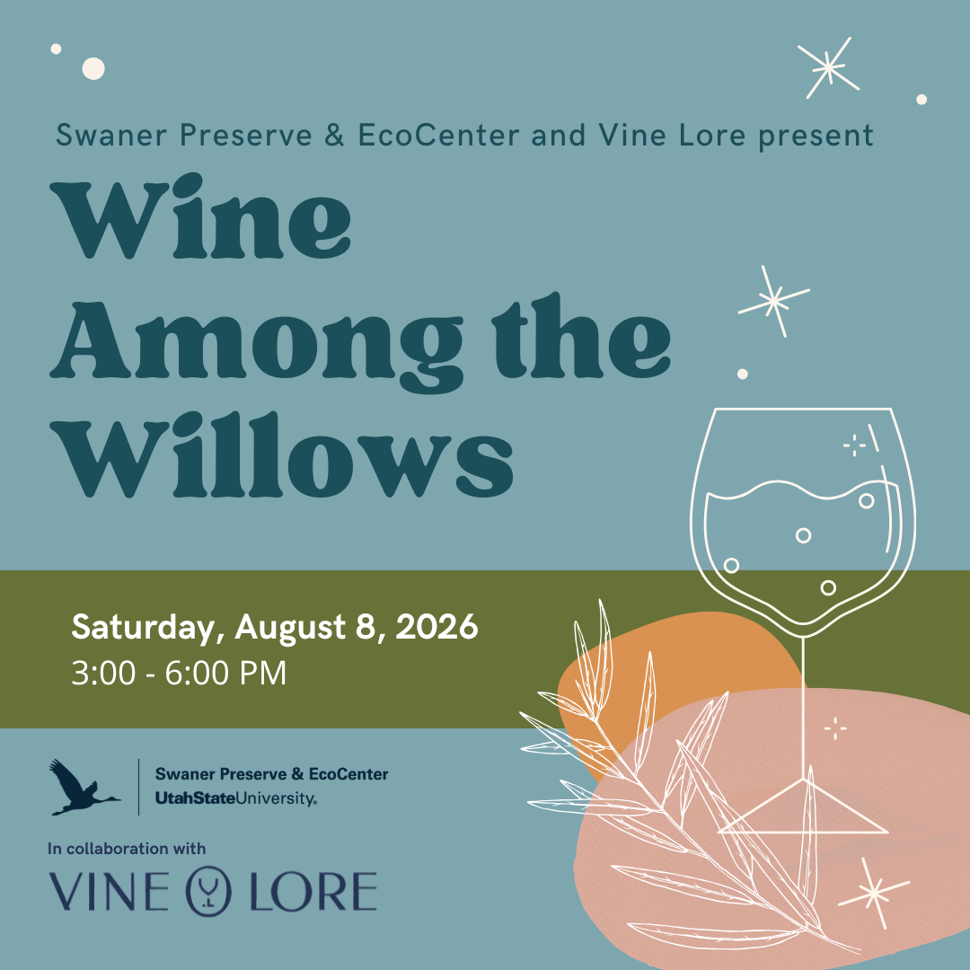 Wine Among the Willows