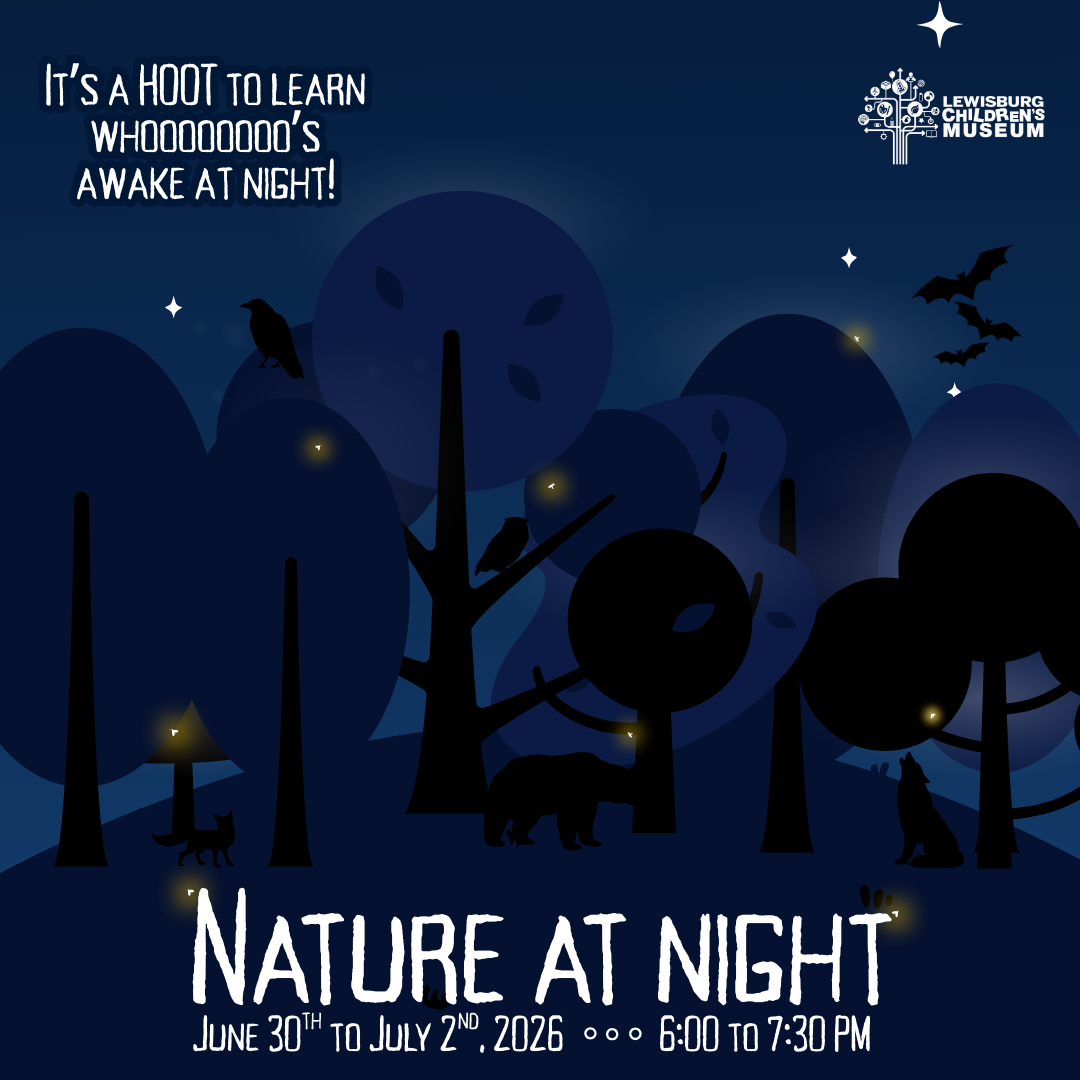 Nature at Night Camp