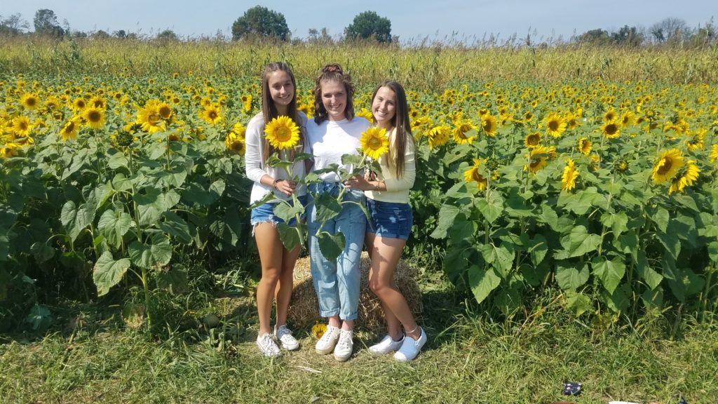 Sunflower Days at Hellerick's Adventure Farm