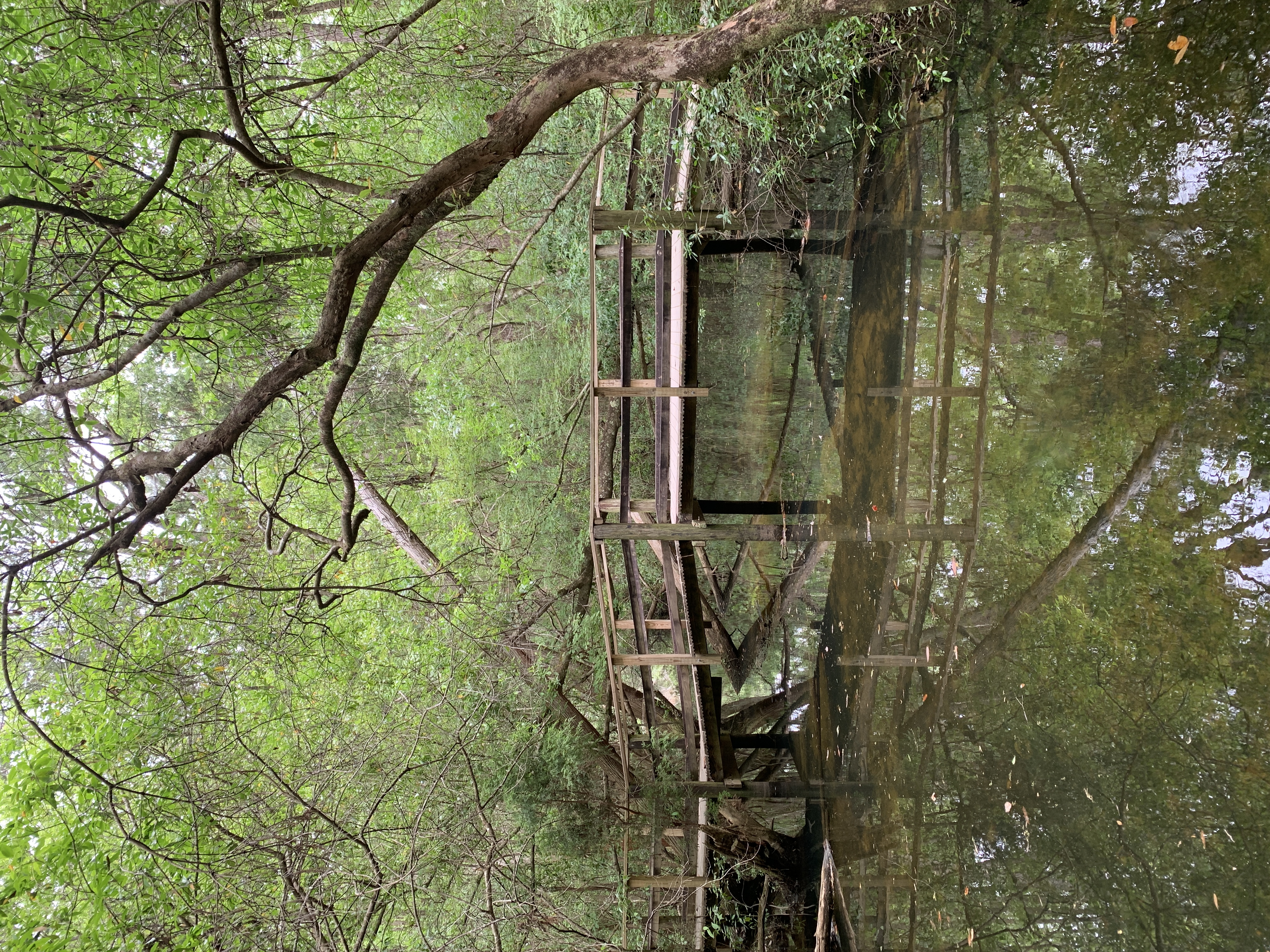 Edward Ball Nature Trail