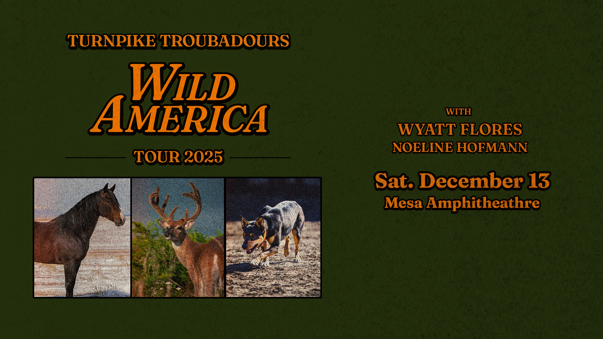 1213-Mesa-TurnpikeTroubadours-