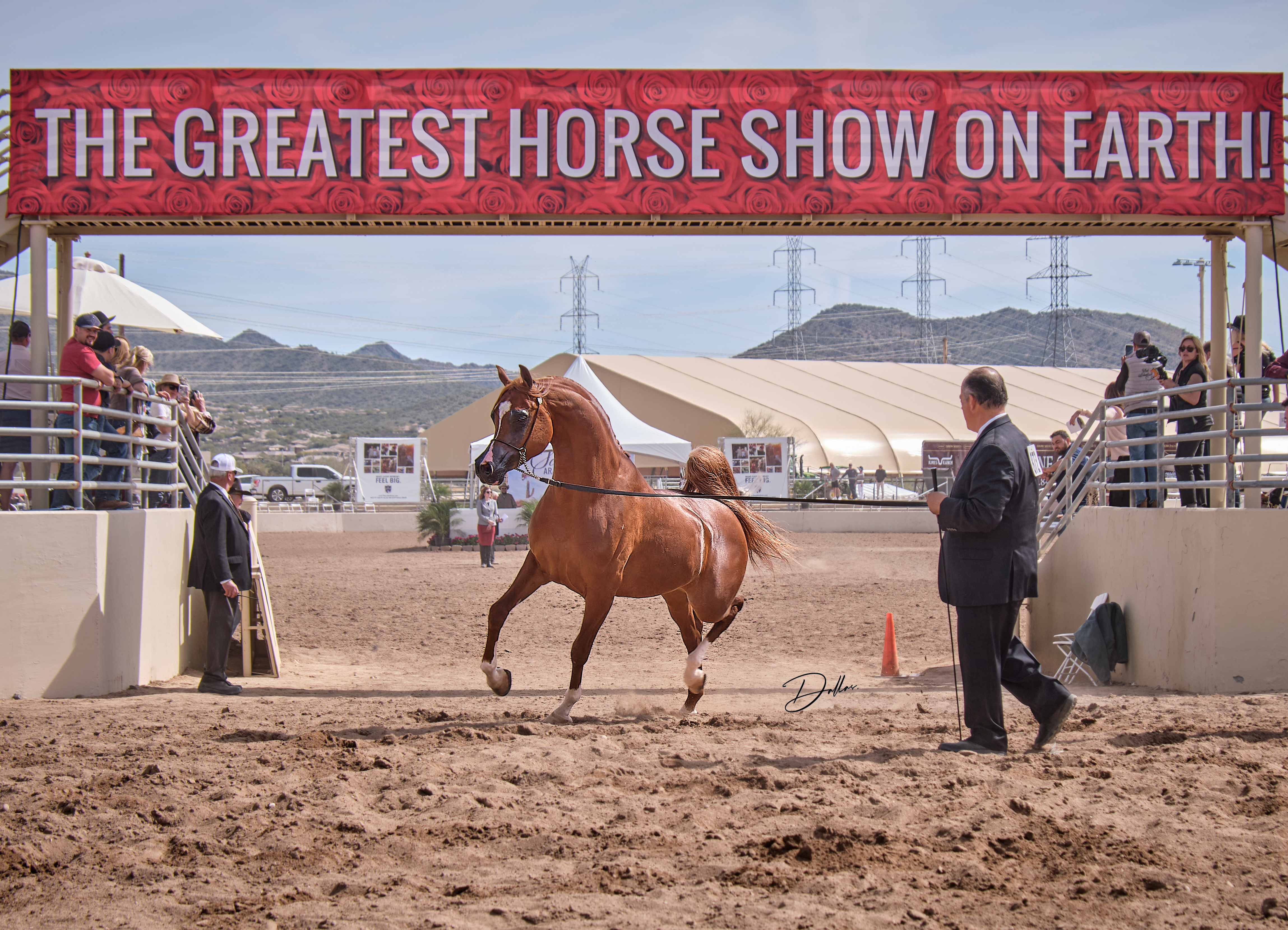 horse show las vegas 4  Global Travel for Horse Lovers