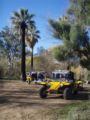 Things to do in Glendale, AZ - Desert Wolf Tours