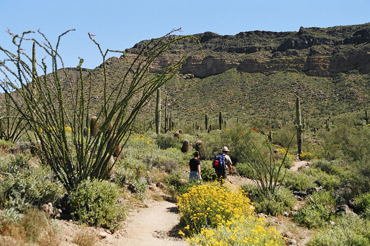 usery mountain park camping