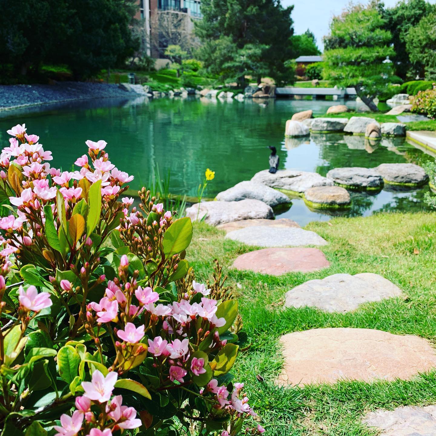 Artifacts Collection — Japanese Friendship Garden