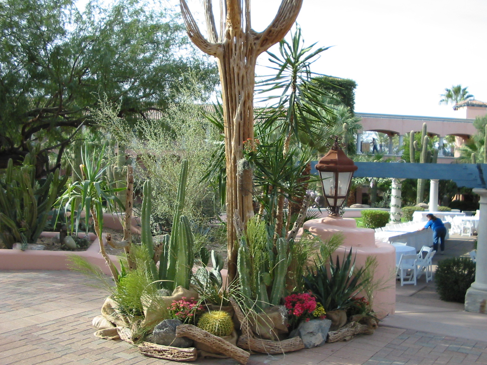 Becky's Phoenix Plants, LLC - ,