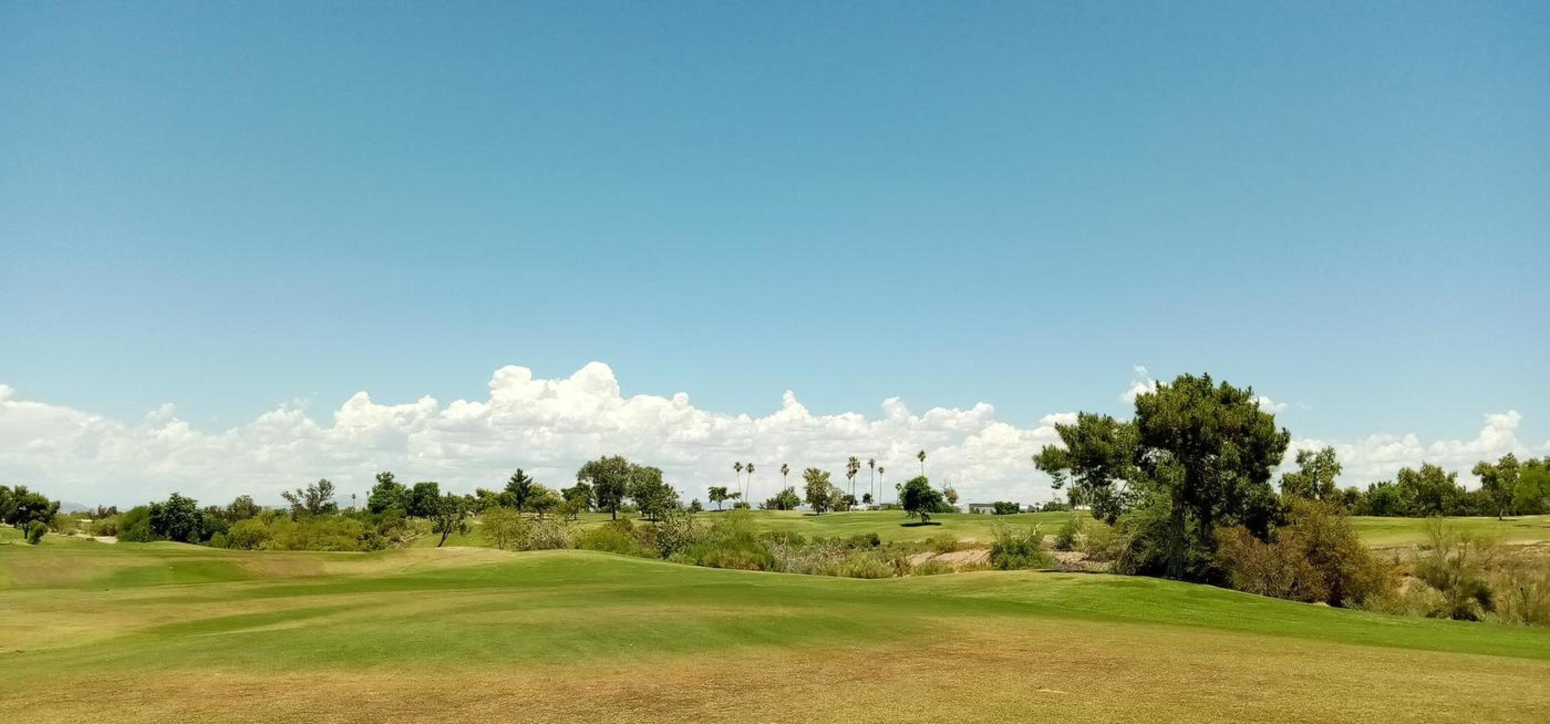 18+ Golf Courses In Cave Creek