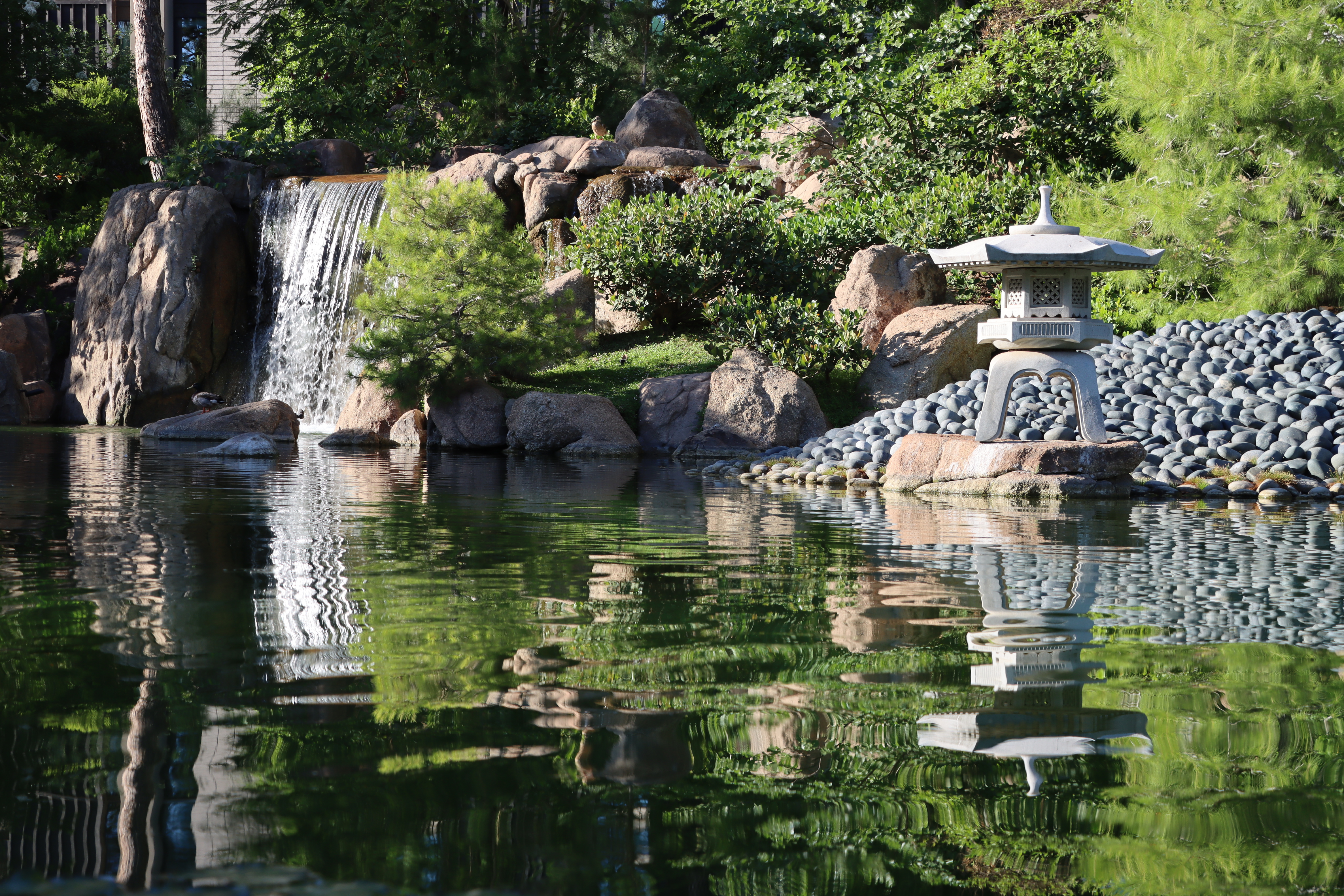 Japanese Friendship Garden - Phoenix AZ, 85003