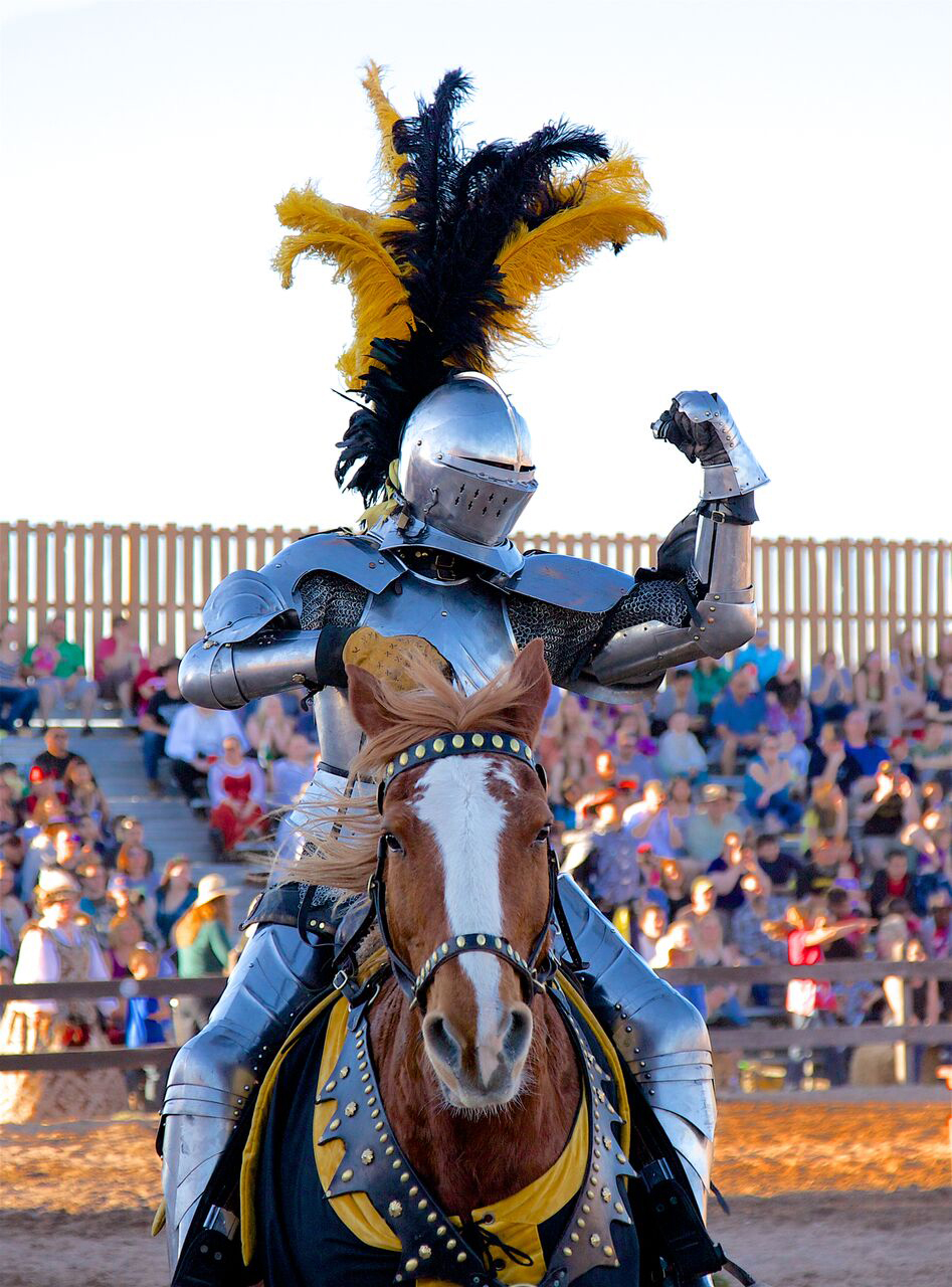 Renaissance Knights Events