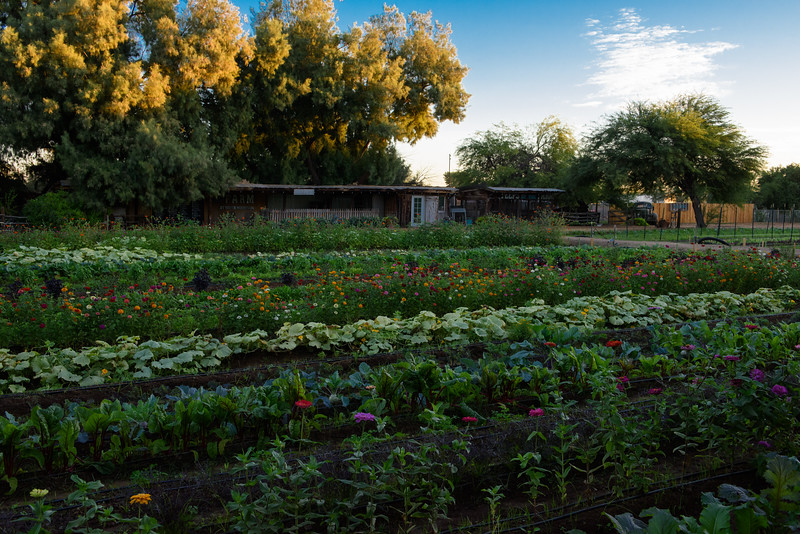 The Farm At South Mountain Phoenix Az 85042