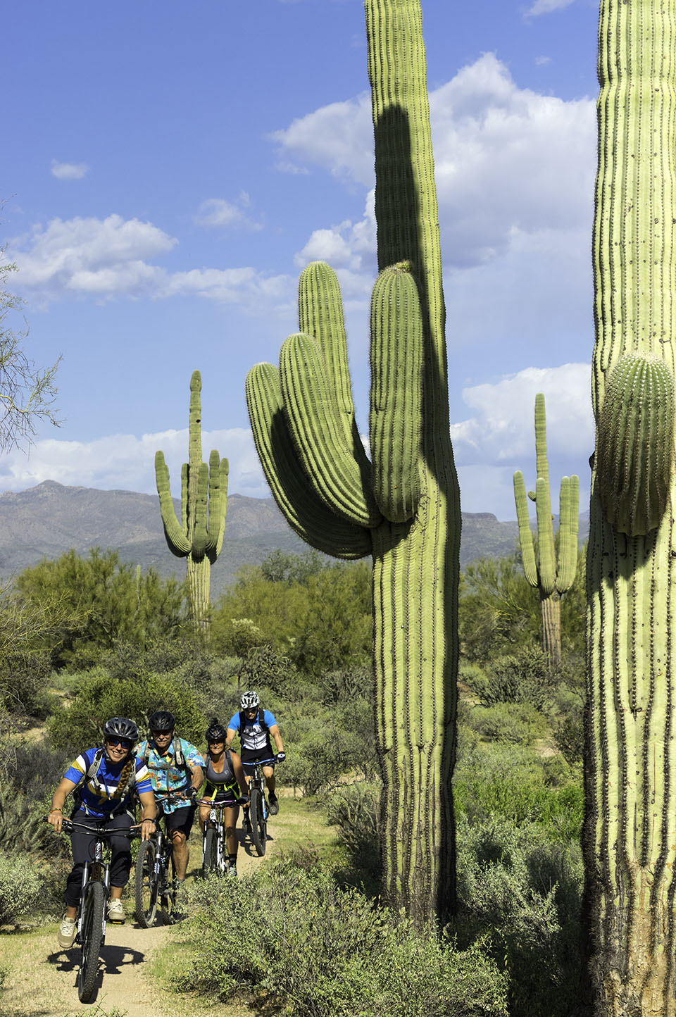 Mcdowell mountain best sale bike park