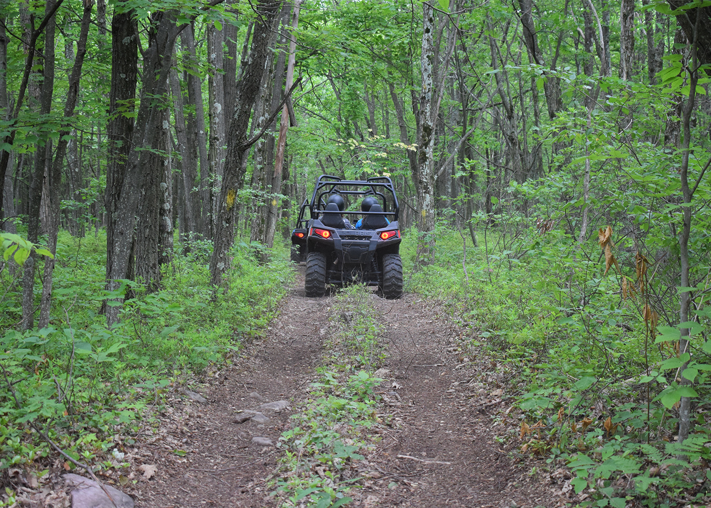 Pocono Outdoor Adventure Tours