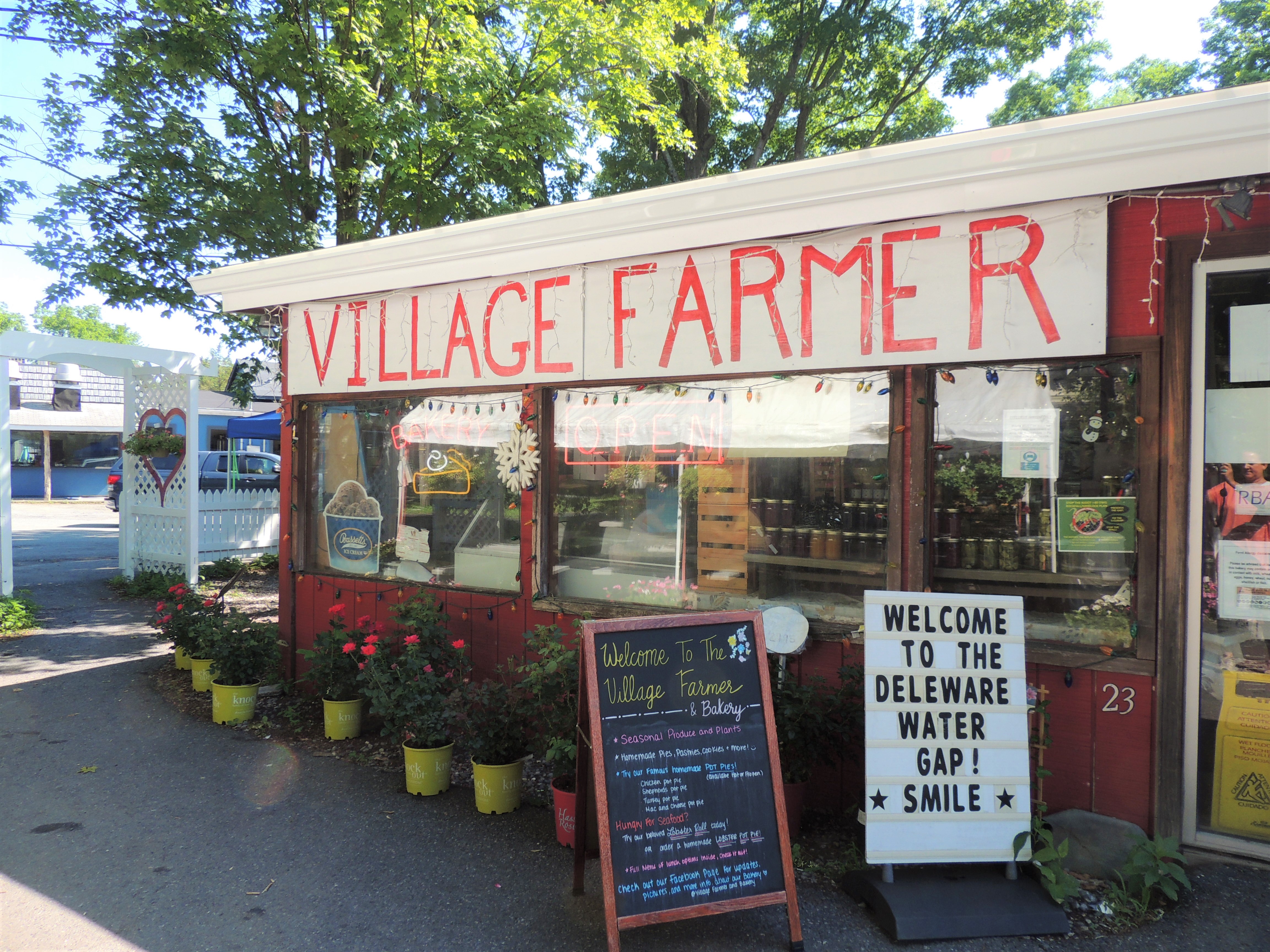 The Village Pie Maker: Blackberry - NEW! - The Farmer's House