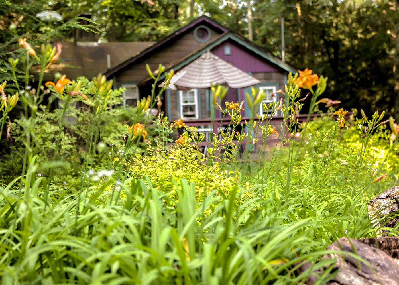 Babbling Brook Cottages Dingmans Ferry Pa 18328 9506