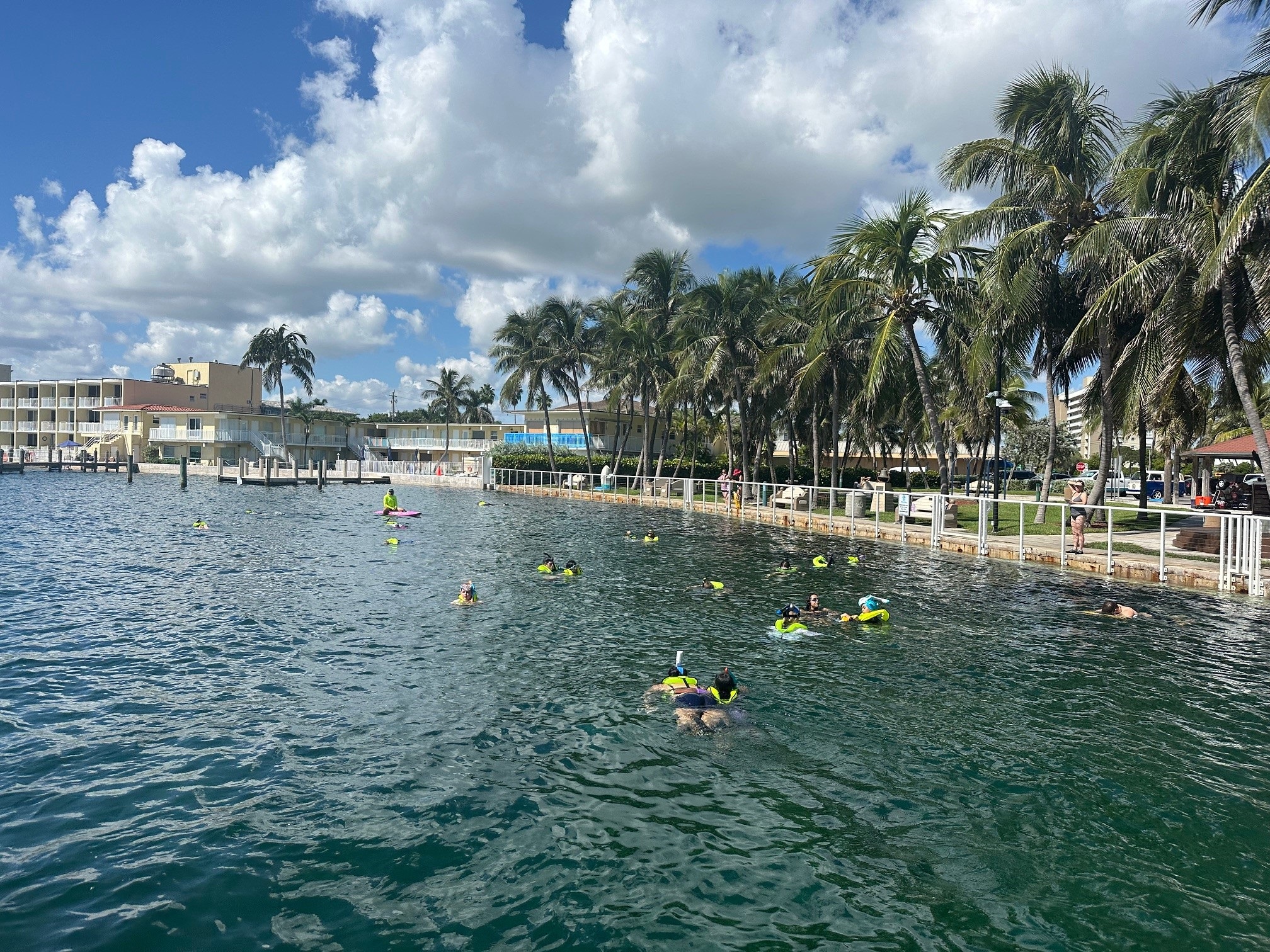 Wahoo Bay Hosted Open Swim