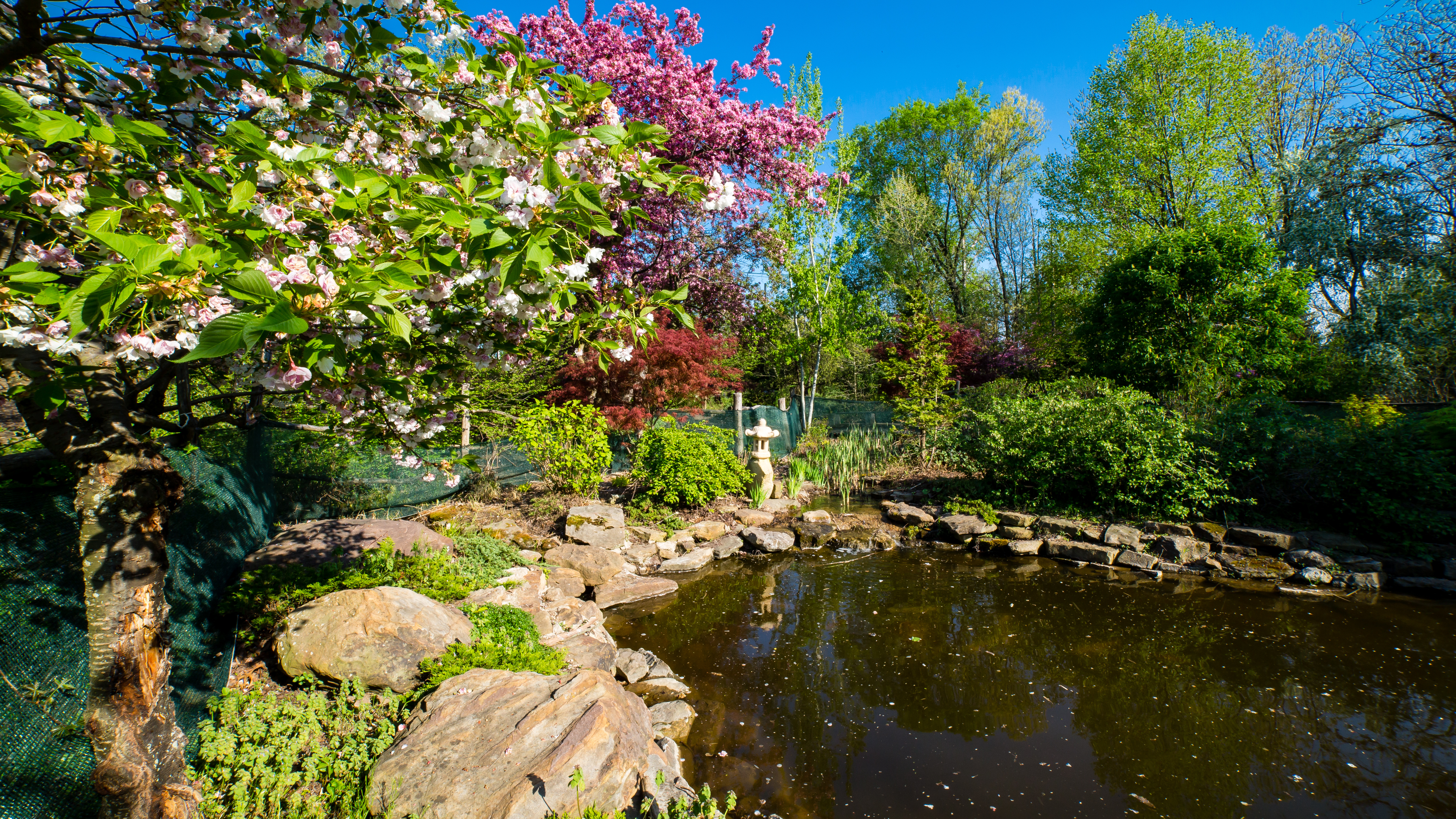Ogden Gardens in Valparaiso Indiana: Explore Natural Beauty