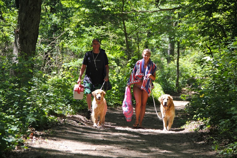 are dogs allowed at mount baldy