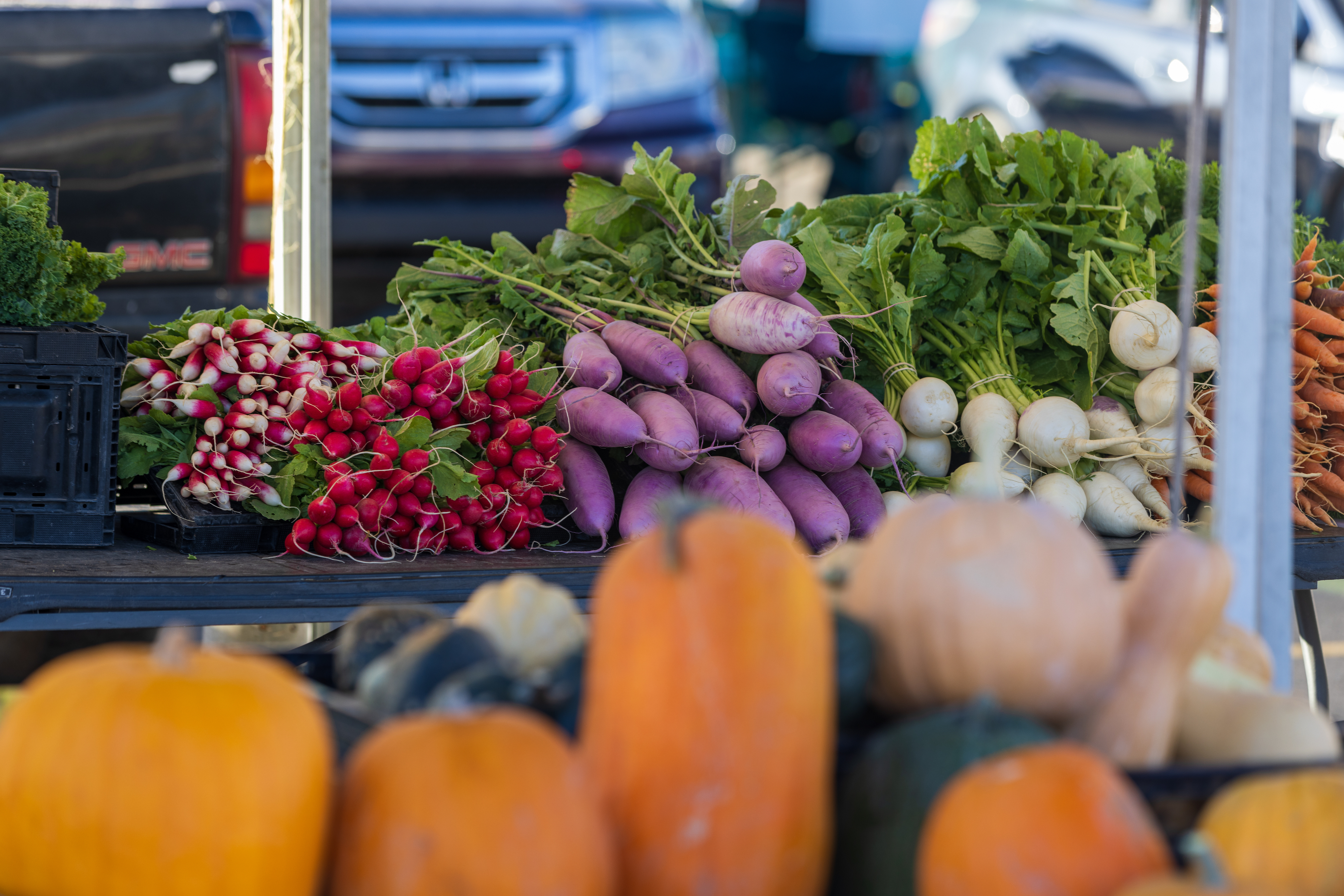 Radishes - Prescott Farmers Market