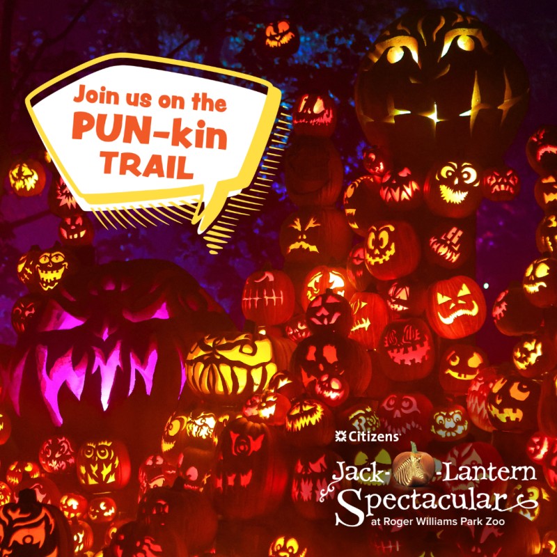Jack-O-Lantern Spectacular