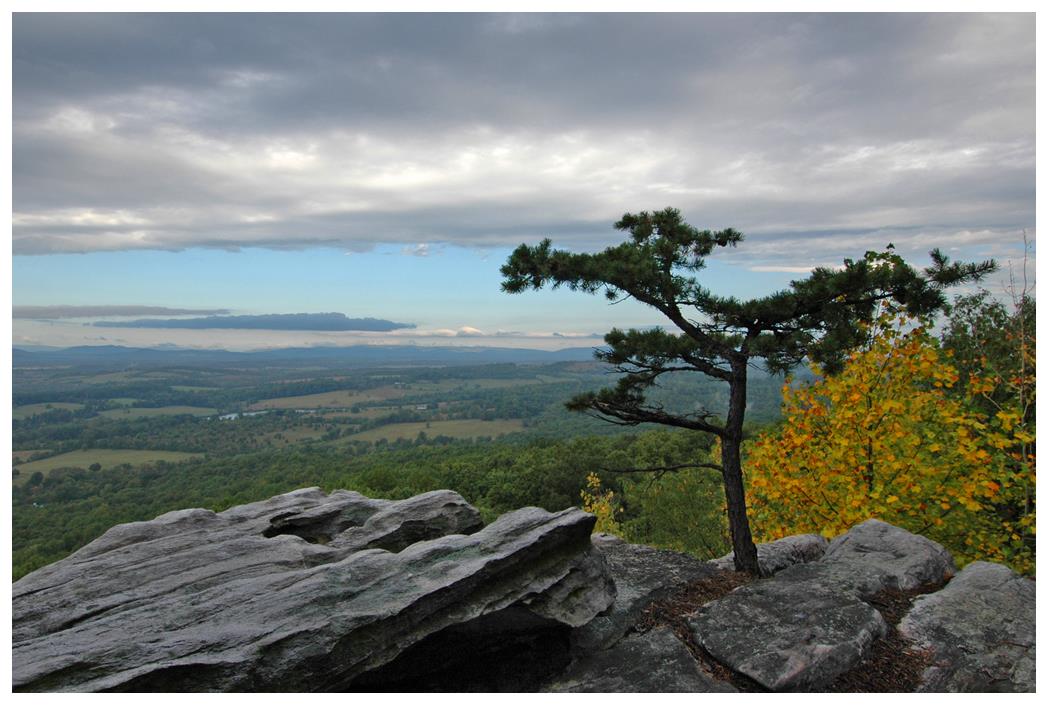 Bull Run Mountains Natural Area Preserve