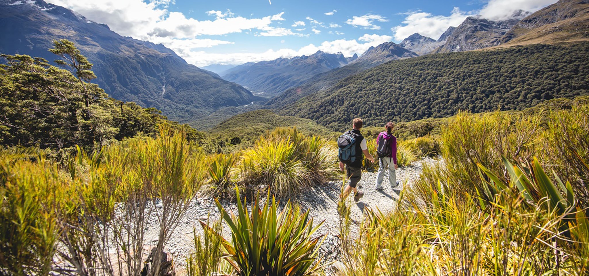 Routeburn track 2024 day hike