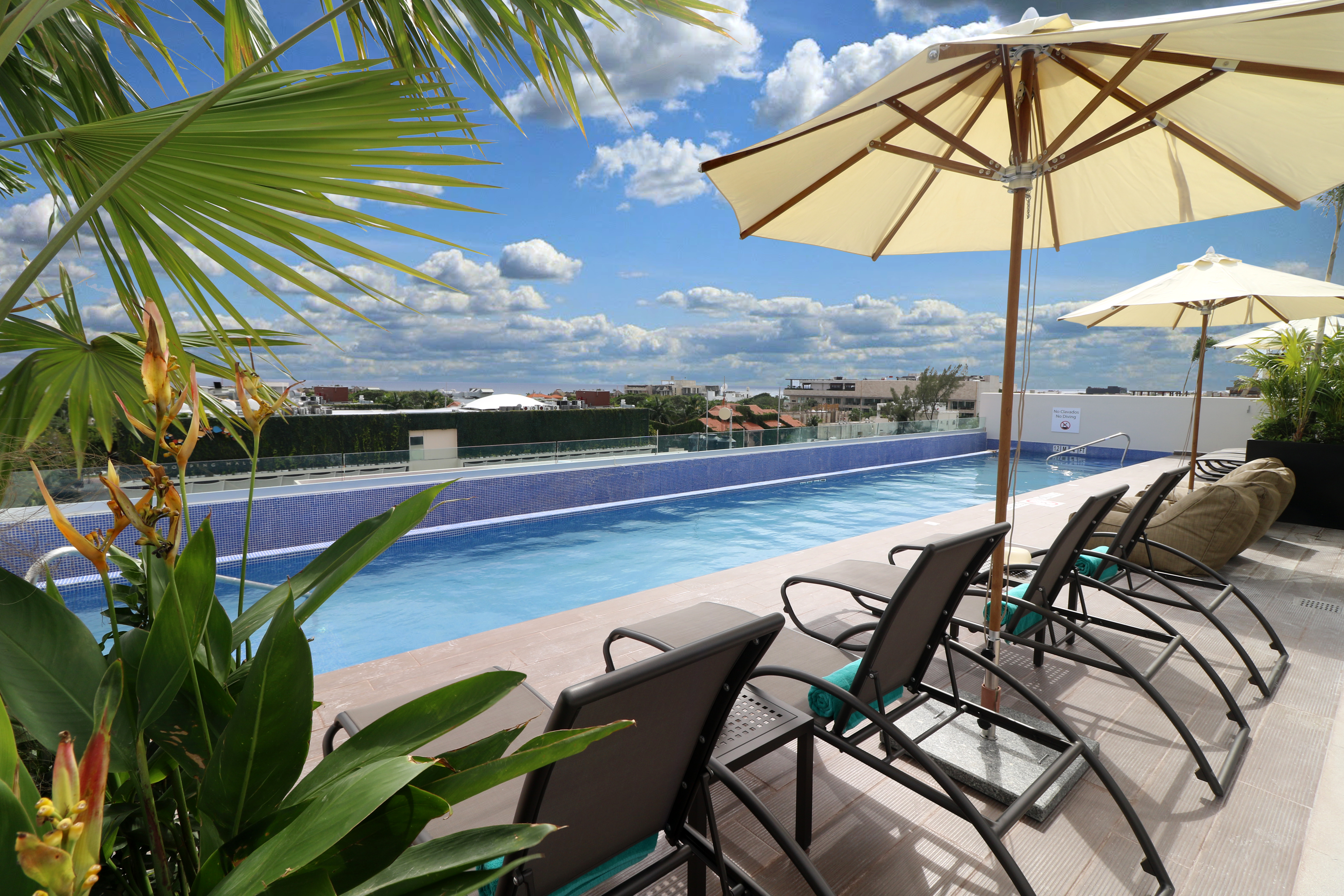 Holiday Inn Express And Suites Playa del Carmen Logo