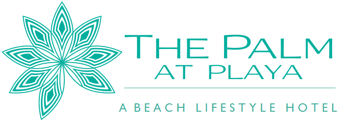 The Palm at Playa Logo