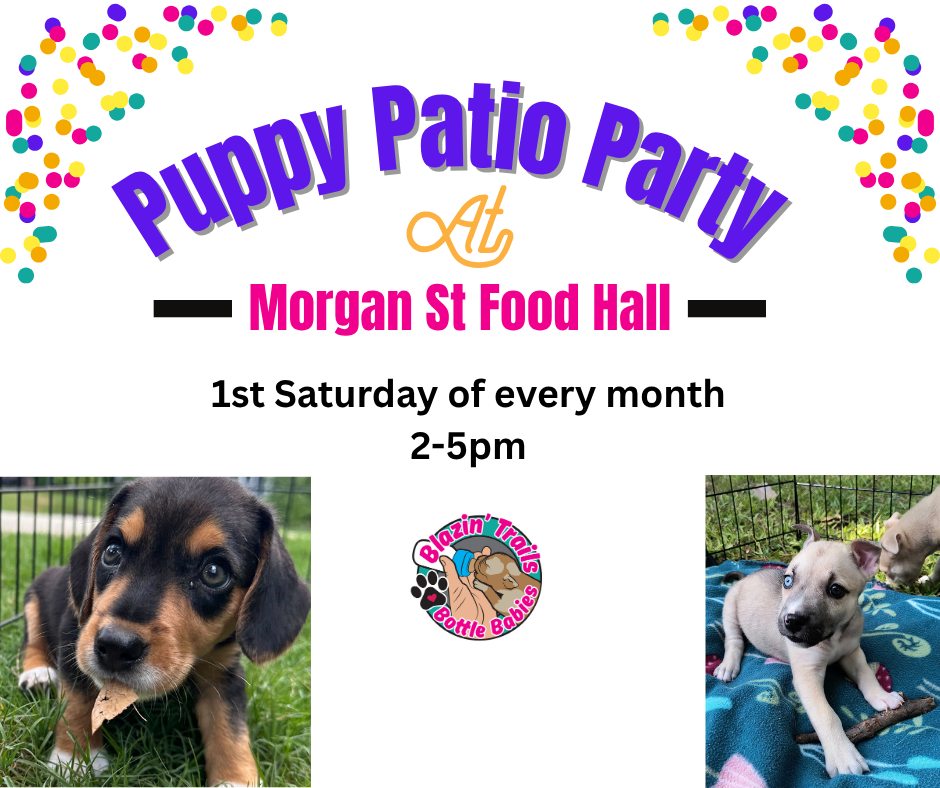 Puppy Patio Party at Morgan Street Food Hall