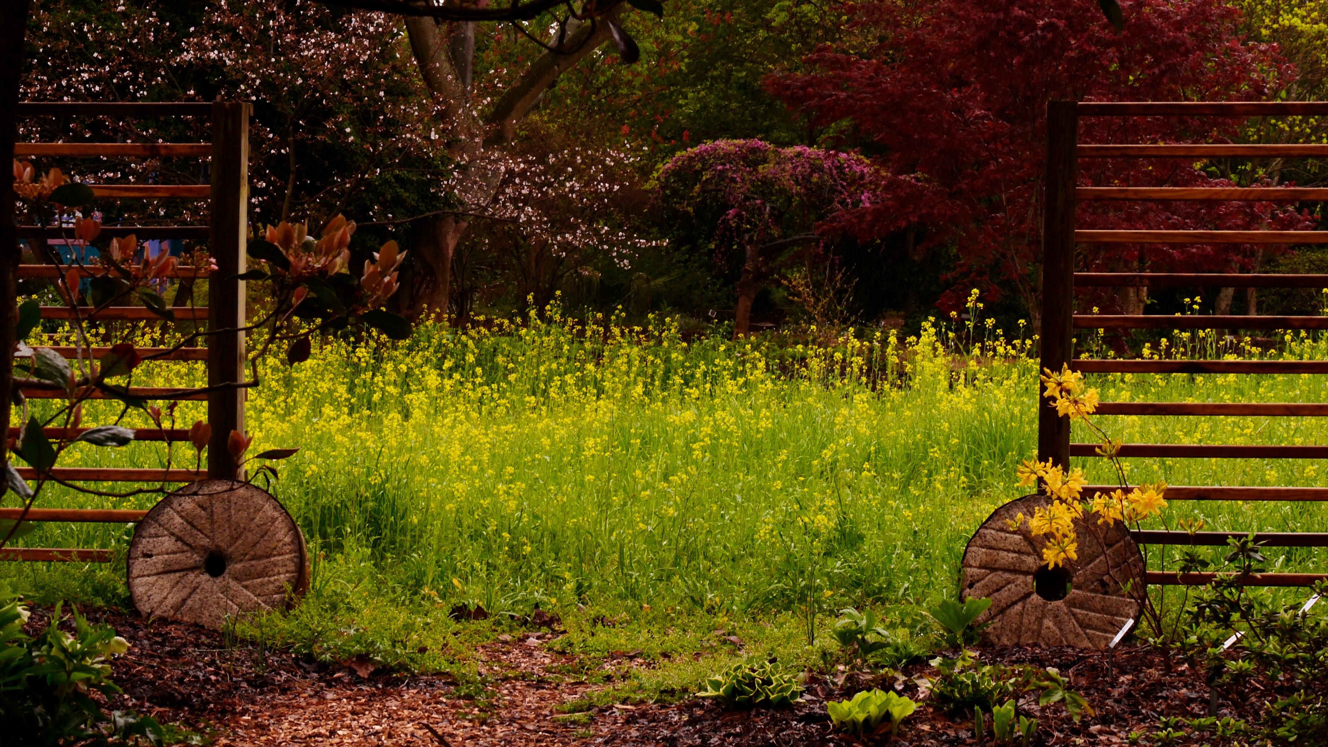 Evening Garden Stroll