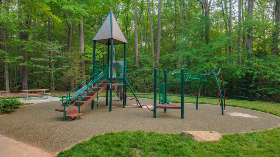 Strickland Road Park Celebration
